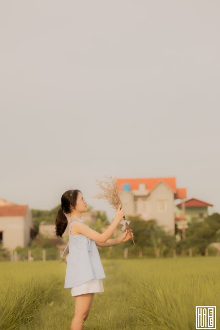Hương Ly